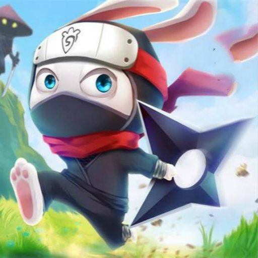 NINJA RABBIT 2